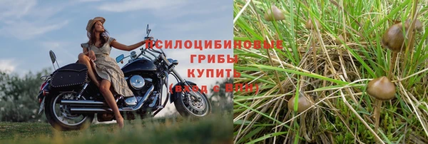 амфетамин Вяземский
